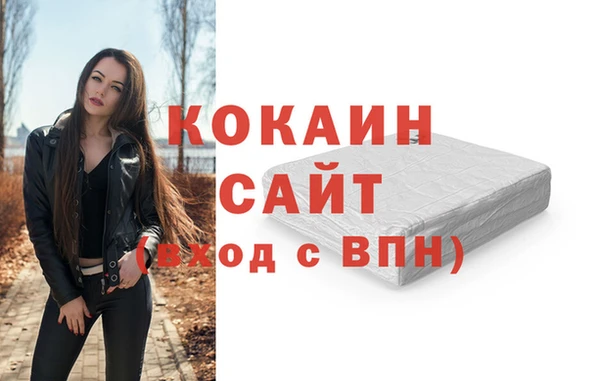 ГАЛЛЮЦИНОГЕННЫЕ ГРИБЫ Гусь-Хрустальный
