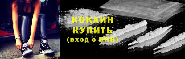 ГАЛЛЮЦИНОГЕННЫЕ ГРИБЫ Гусь-Хрустальный
