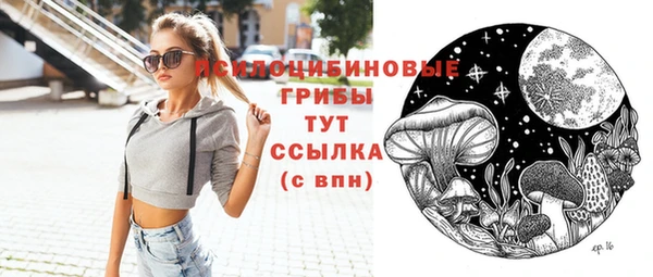 ГАЛЛЮЦИНОГЕННЫЕ ГРИБЫ Гусь-Хрустальный