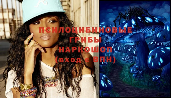 кокс Гусиноозёрск