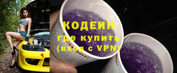 ГАЛЛЮЦИНОГЕННЫЕ ГРИБЫ Гусь-Хрустальный
